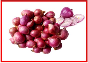 Onions